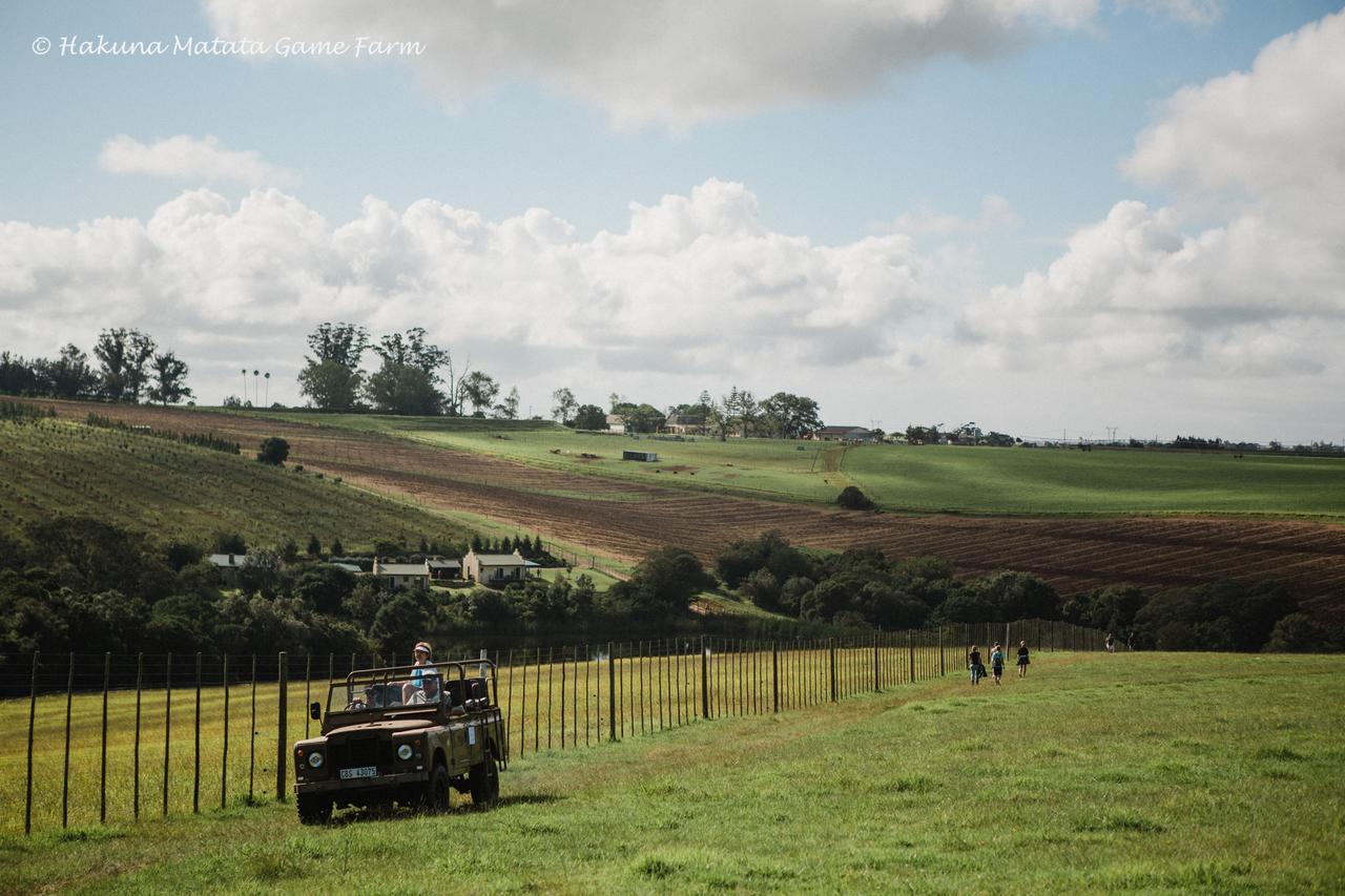 Hakuna Matata Game Farm Great Brak River Exteriér fotografie