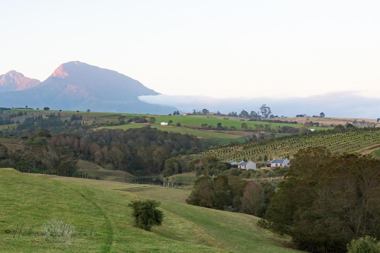 Hakuna Matata Game Farm Great Brak River Exteriér fotografie